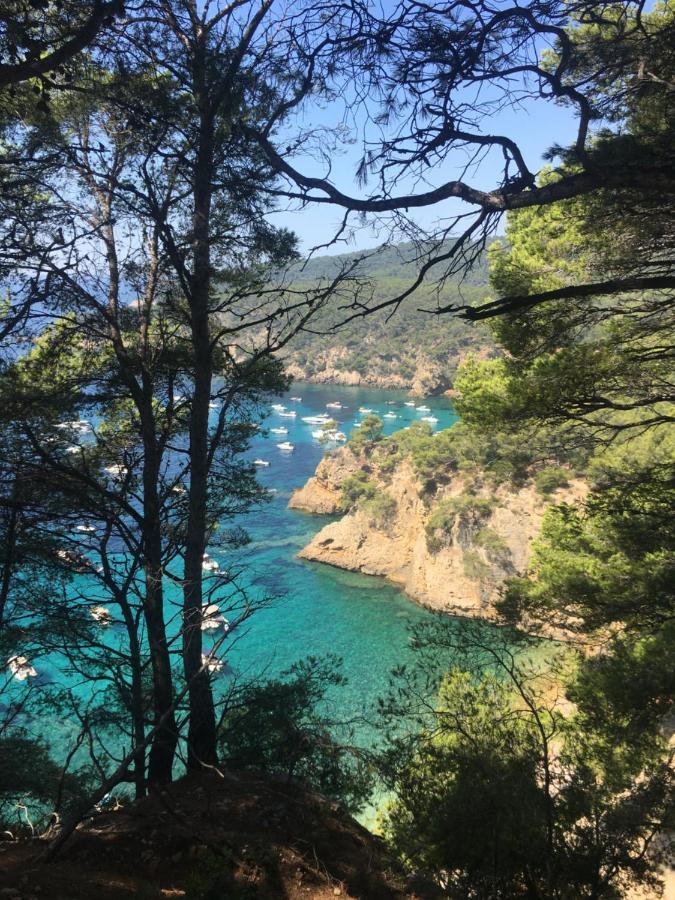Studio Cosy Proche Mer Saint-Cyr-sur-Mer Dış mekan fotoğraf