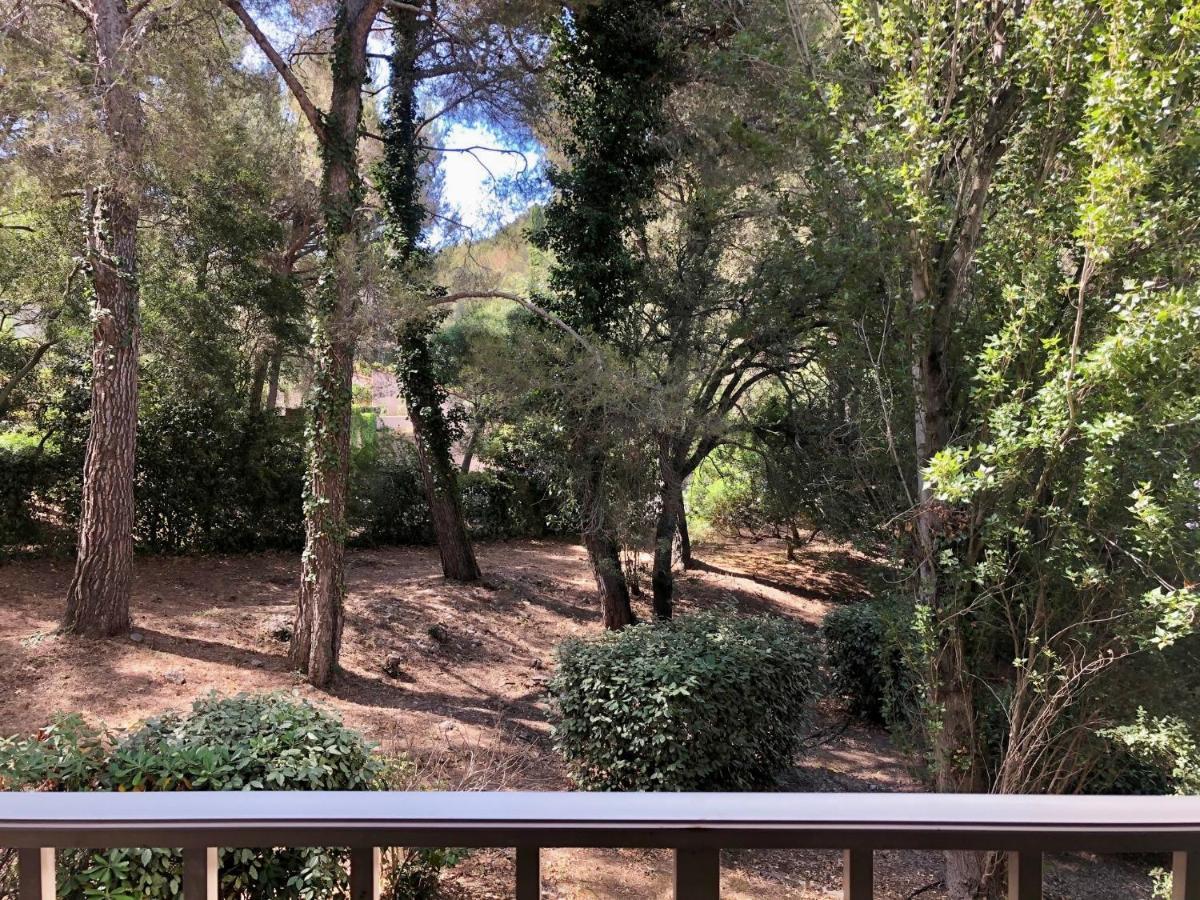 Studio Cosy Proche Mer Saint-Cyr-sur-Mer Dış mekan fotoğraf