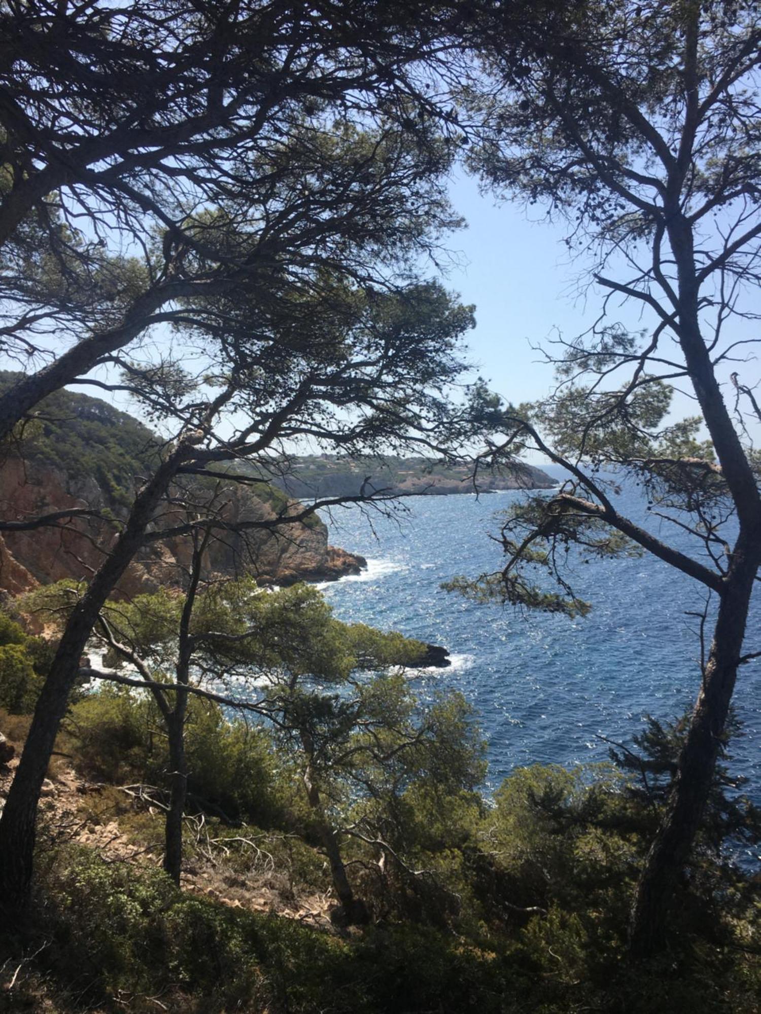 Studio Cosy Proche Mer Saint-Cyr-sur-Mer Dış mekan fotoğraf
