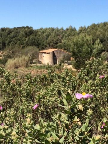 Studio Cosy Proche Mer Saint-Cyr-sur-Mer Dış mekan fotoğraf
