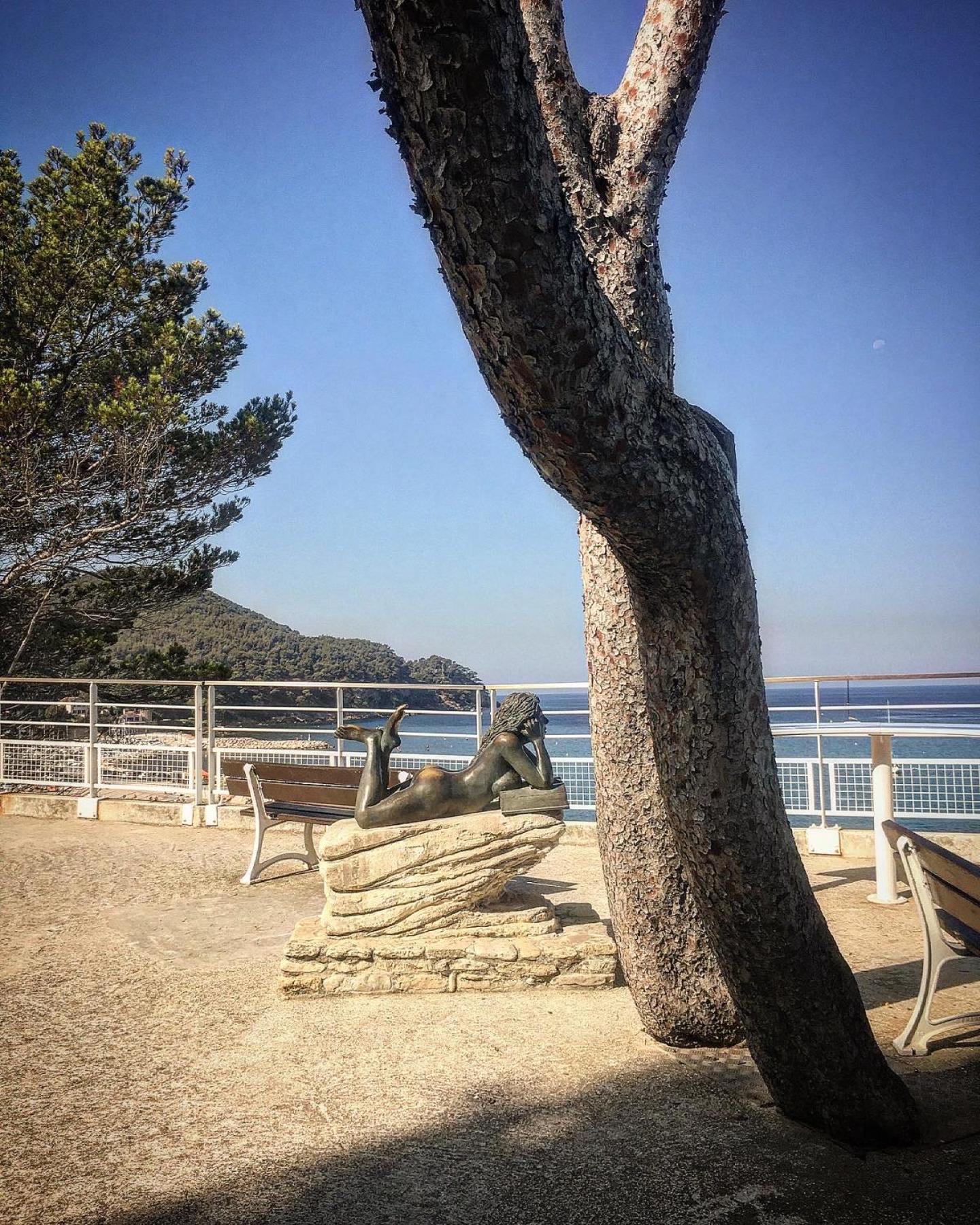 Studio Cosy Proche Mer Saint-Cyr-sur-Mer Dış mekan fotoğraf